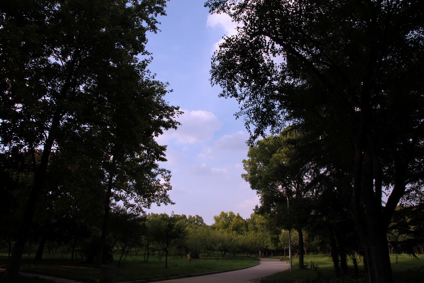 p7.jpg
