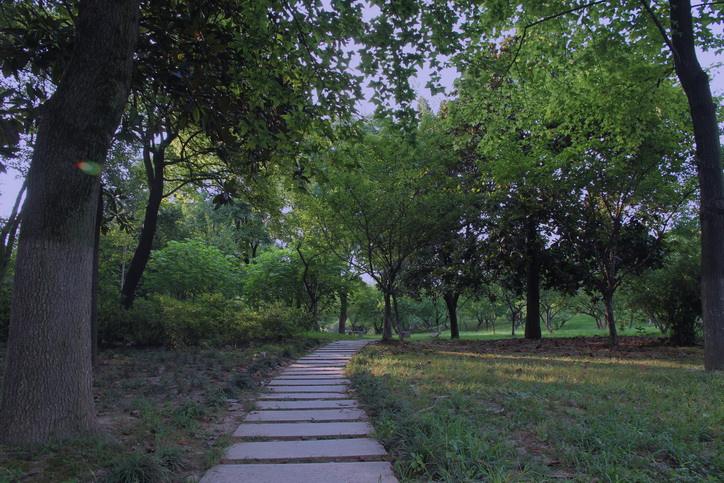 p8.jpg
