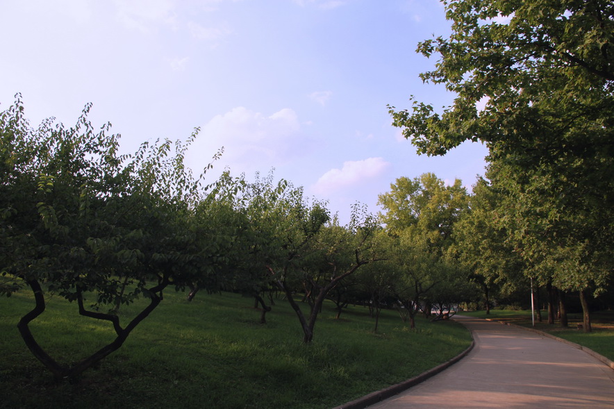 p9.jpg