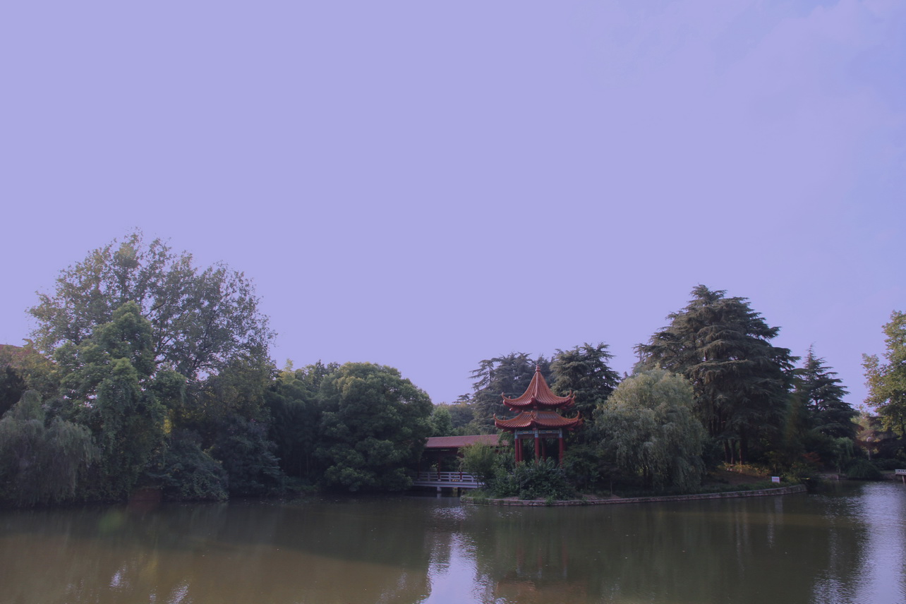 p10.jpg