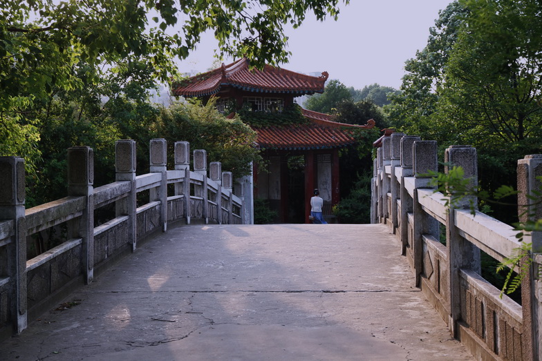 p11.jpg