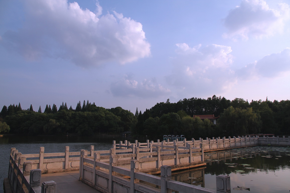 p12.jpg