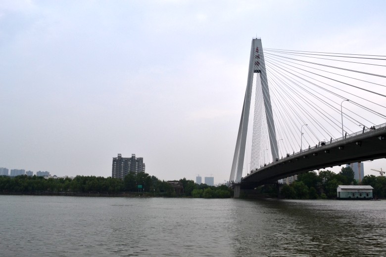dsc_0002_conew1.jpg
