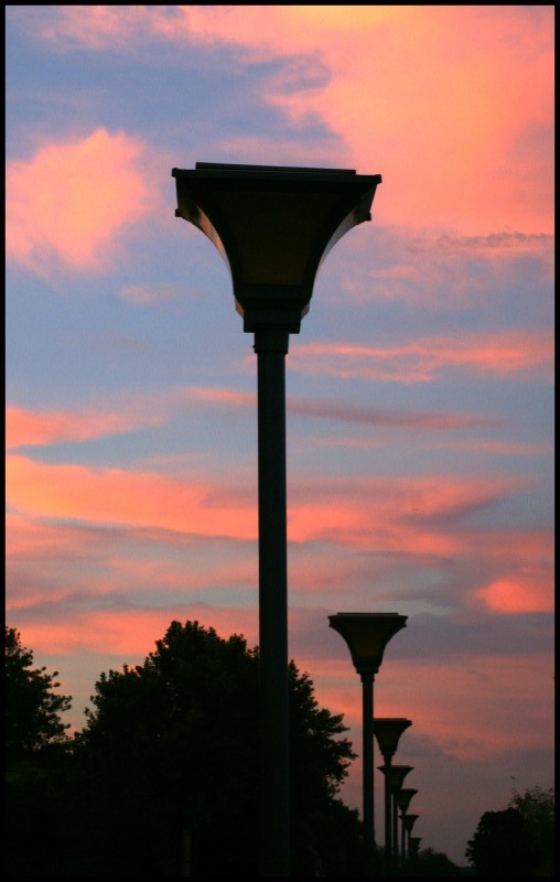conew_dsc09017_conew1.jpg