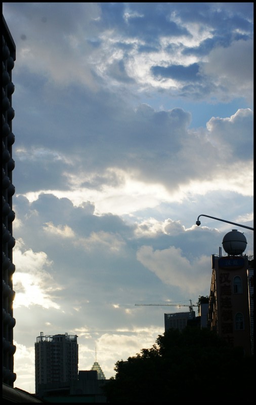 conew_dsc08925_conew1.jpg
