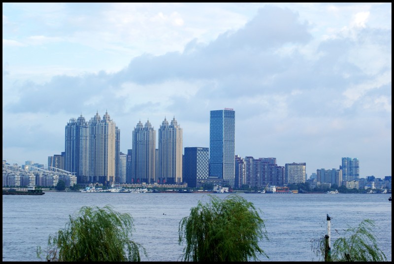 conew_dsc08937_conew1.jpg