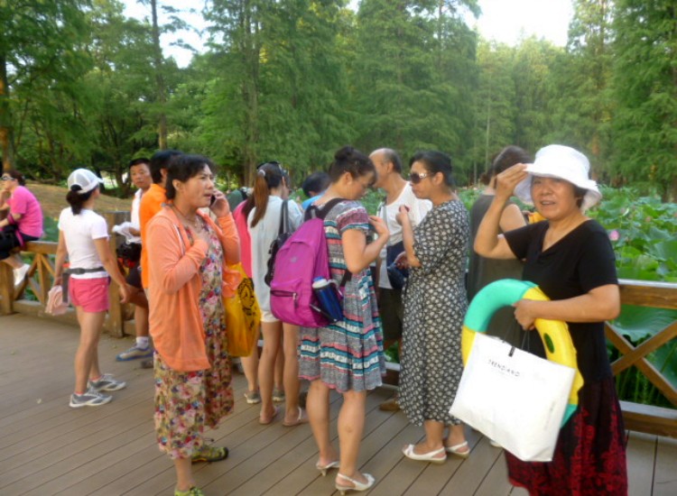 conew_p1060210.jpg