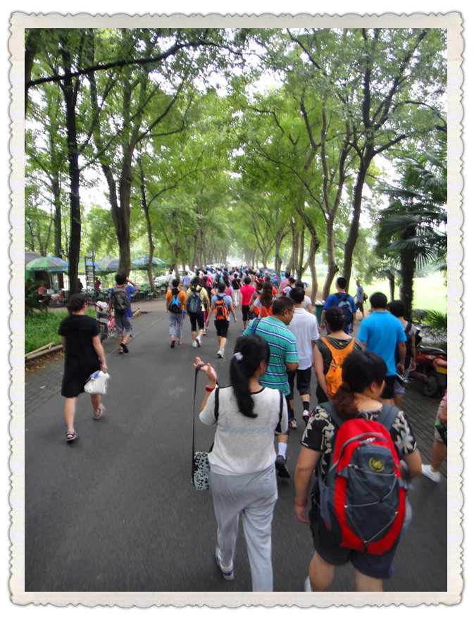 dsc02567_.jpg