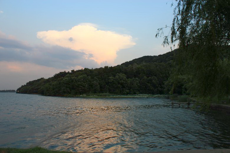 neo_img_img_1111.jpg