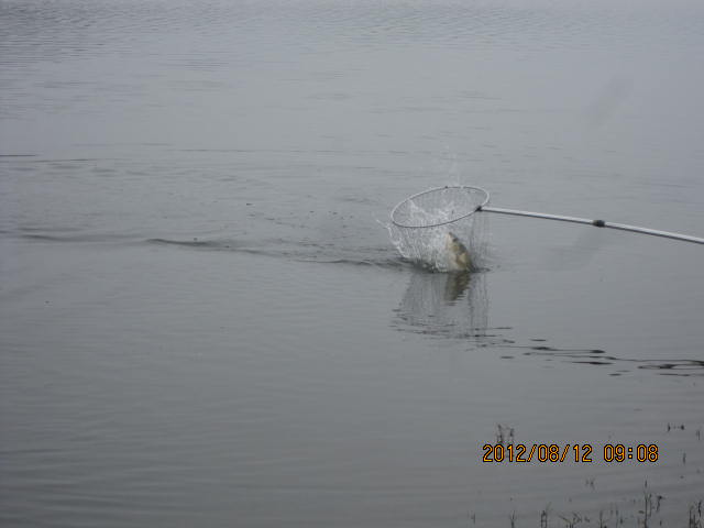 img_0175.jpg