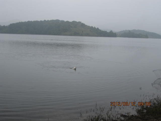 img_0174.jpg