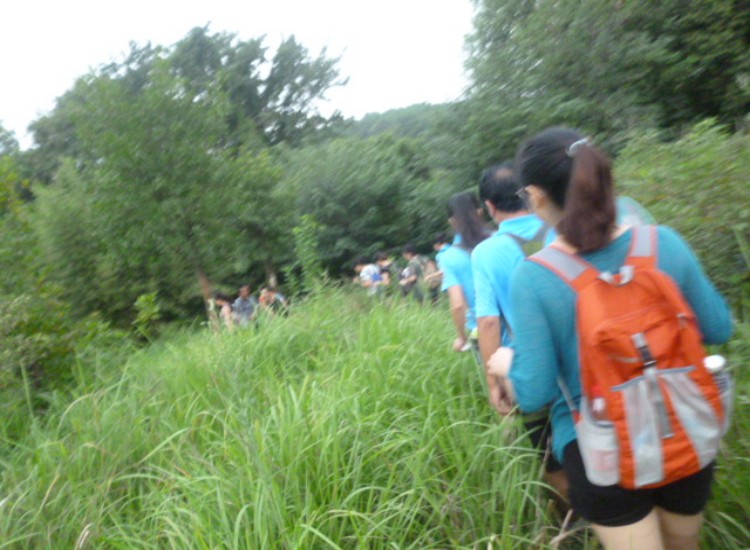 conew_p1060385.jpg