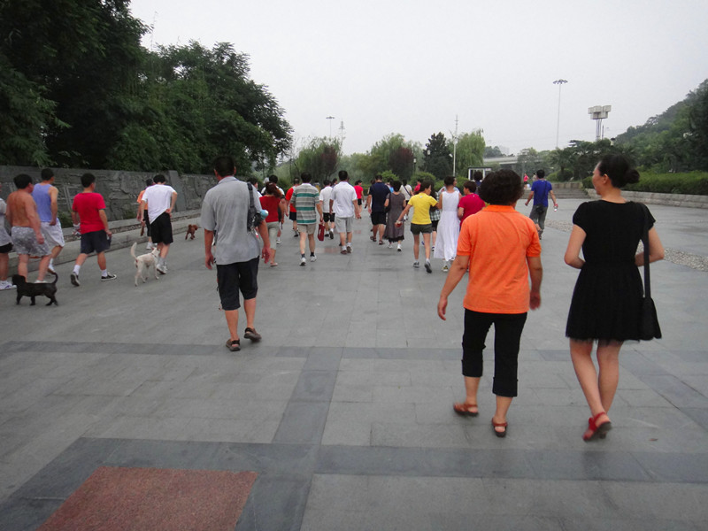 dsc02653_.jpg