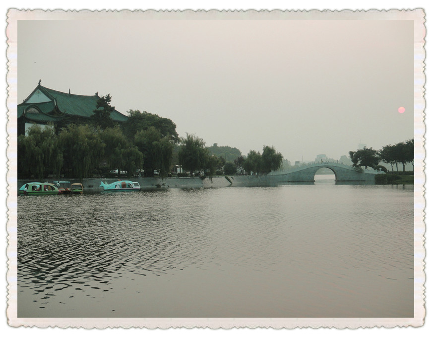 dsc02607_.jpg