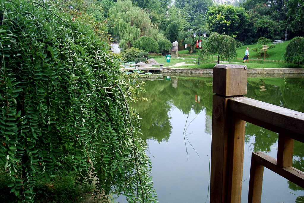 dsc02090.jpg