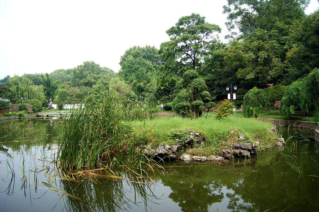 dsc01889.jpg