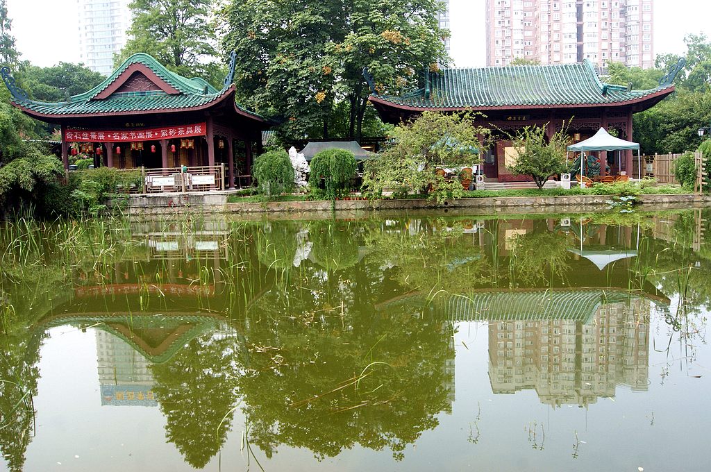 dsc01893.jpg