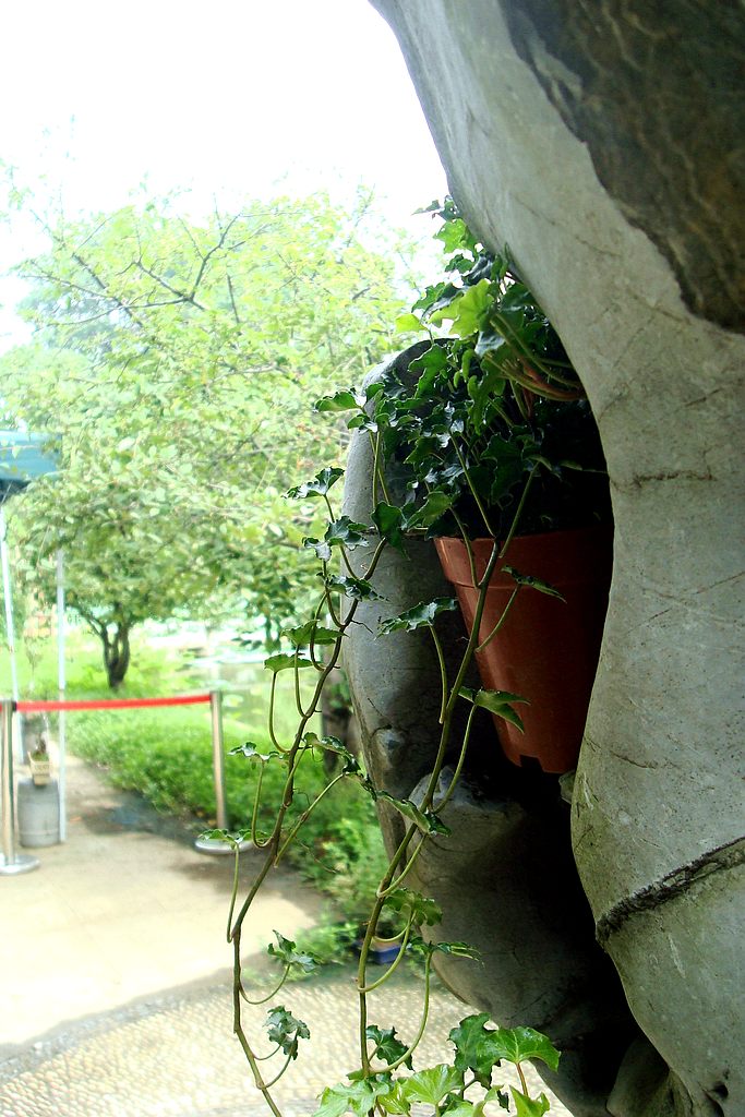 dsc02100.jpg
