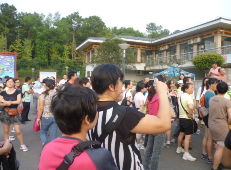 conew_p1060379.jpg