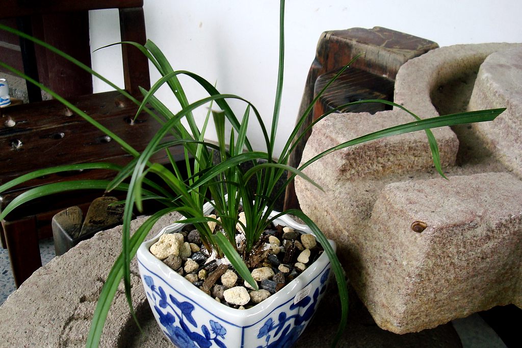 dsc02110.jpg