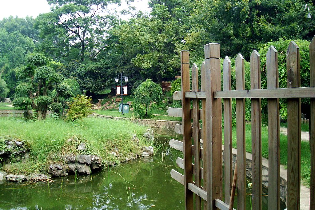 dsc02130.jpg