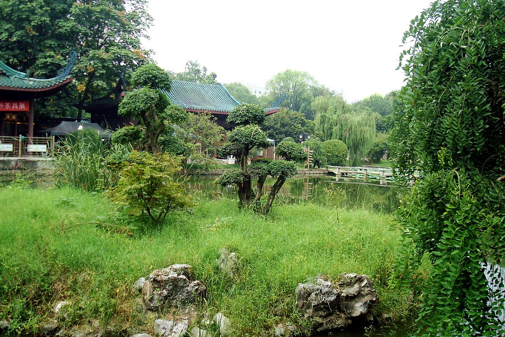 dsc02138.jpg