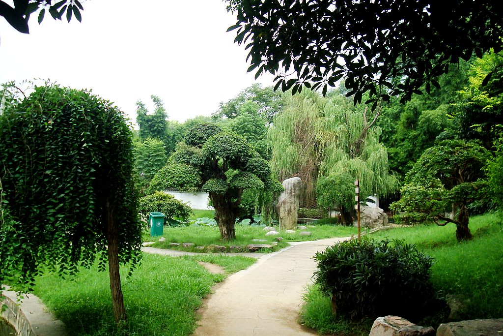 dsc02148.jpg