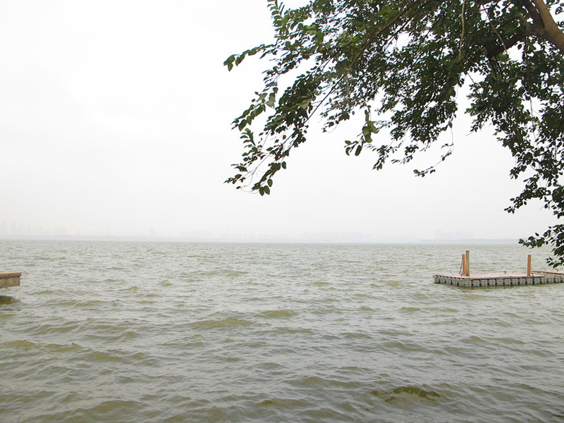 20120804ĥɽͽ 001_.jpg