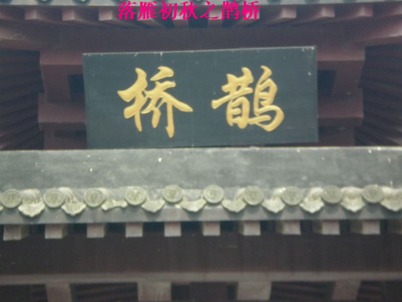 p8190004.jpg