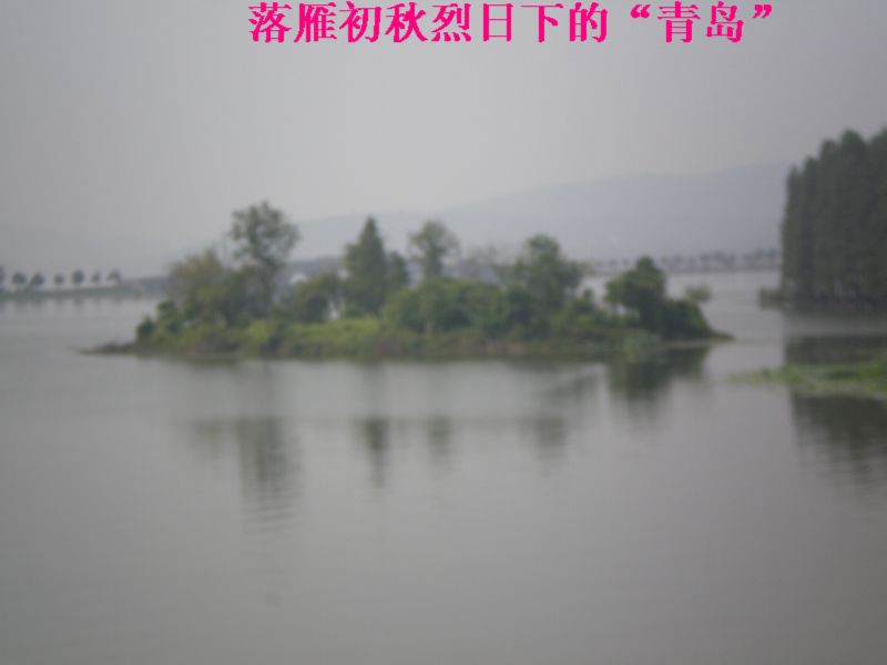p8190002.jpg