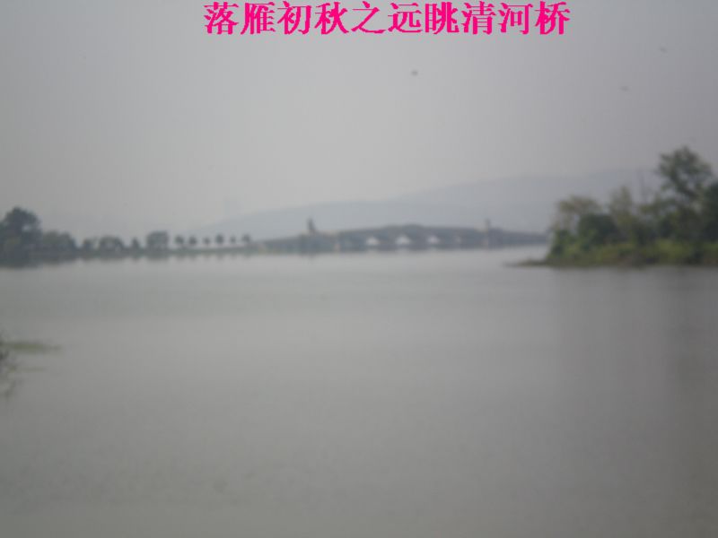 p8190006.jpg