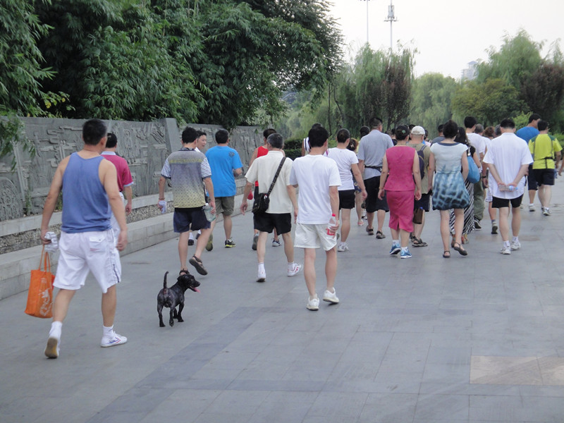 dsc02285_.jpg