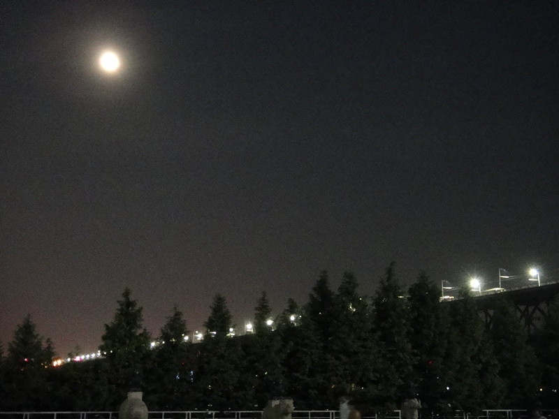 dsc02292_.jpg