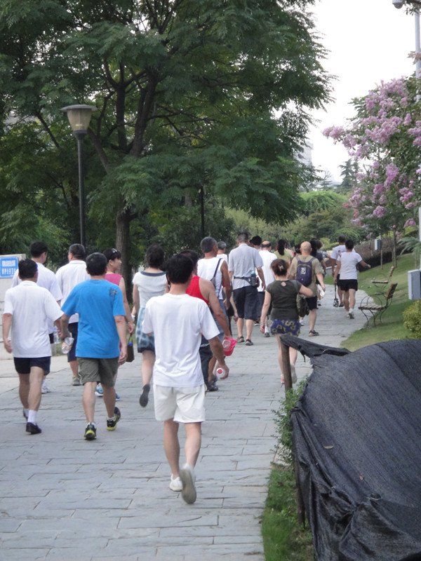 dsc02289_.jpg