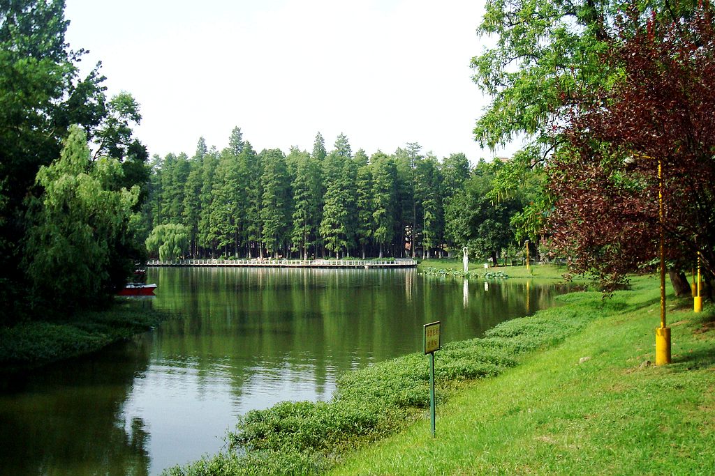 dsc02458.jpg