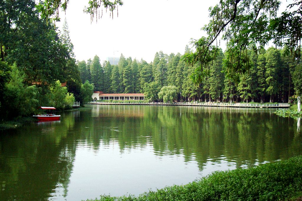 dsc02454.jpg