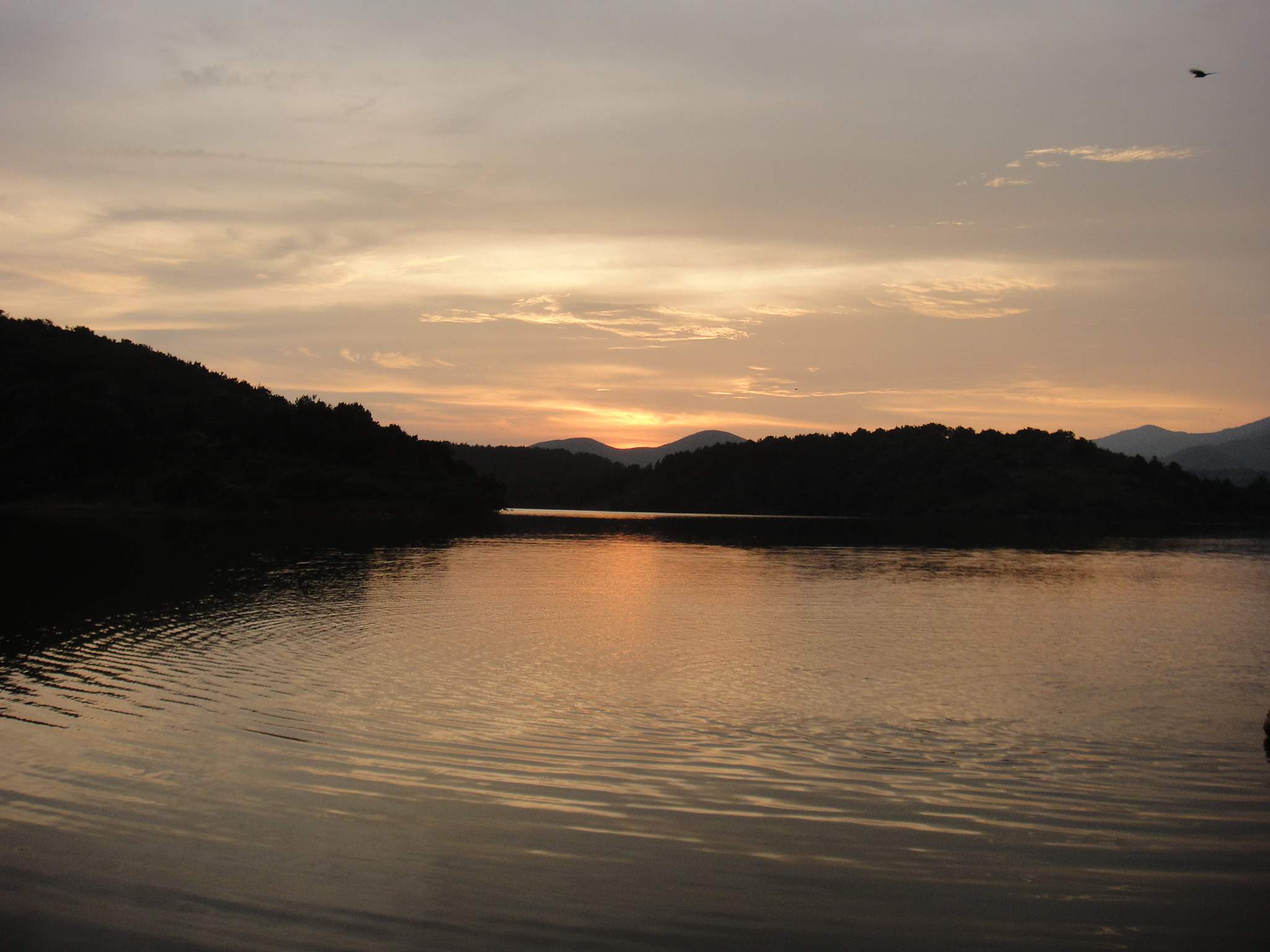 dsc07565.jpg