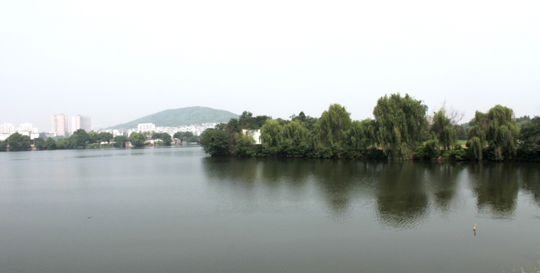 img_1930.jpg