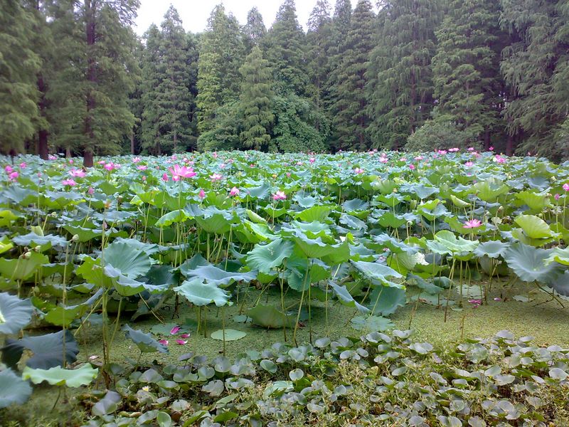 20120821053.jpg