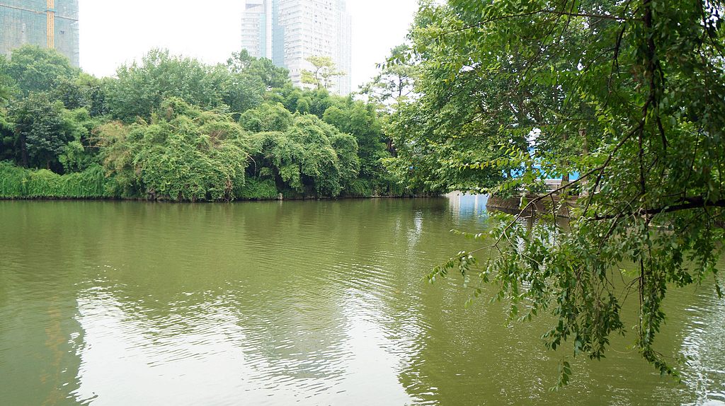 dsc00356.jpg