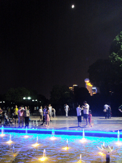 dsc02986.jpg