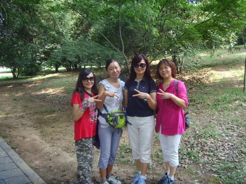 snv30003.jpg