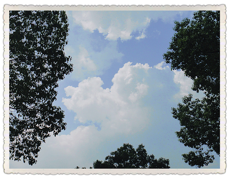 dsc02856_.jpg