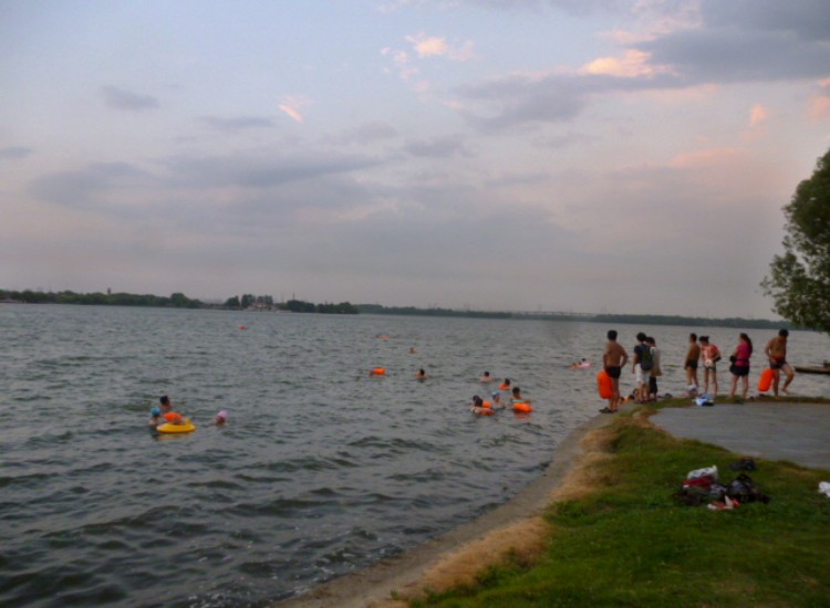 conew_p1060297.jpg