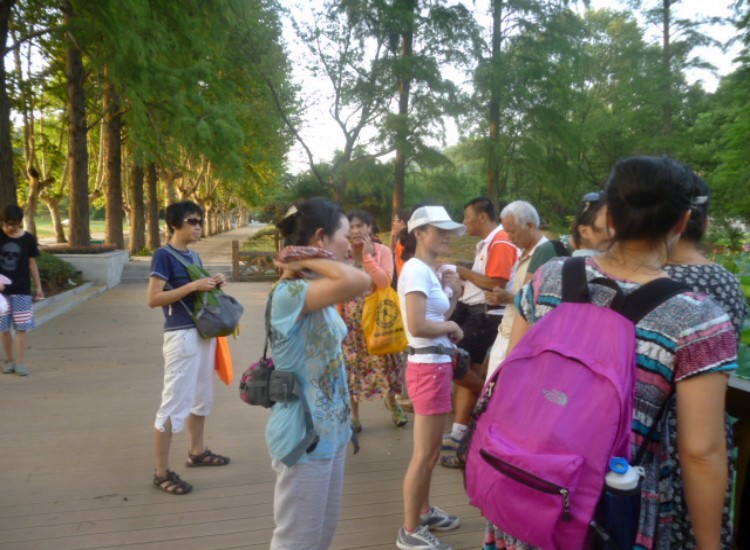 conew_p1060213.jpg