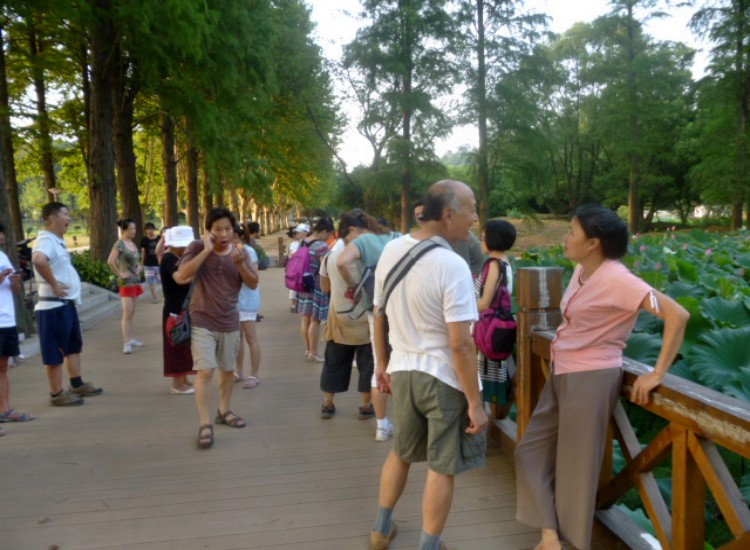 conew_p1060215.jpg
