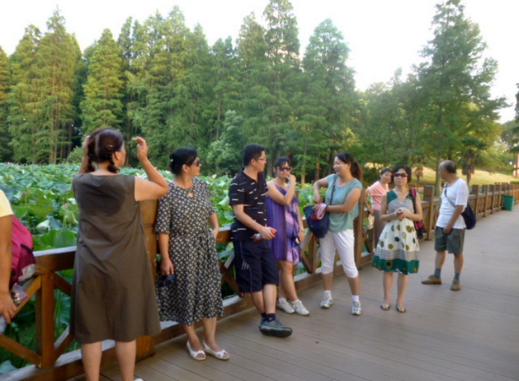 conew_p1060250.jpg