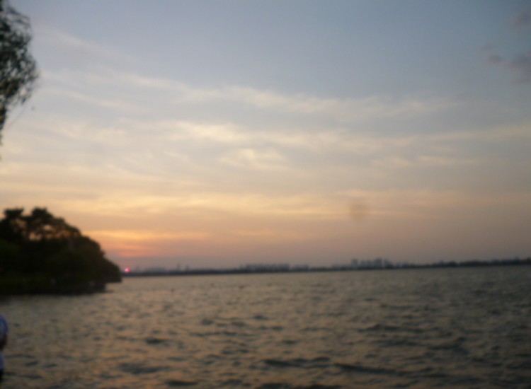 conew_p1060291.jpg