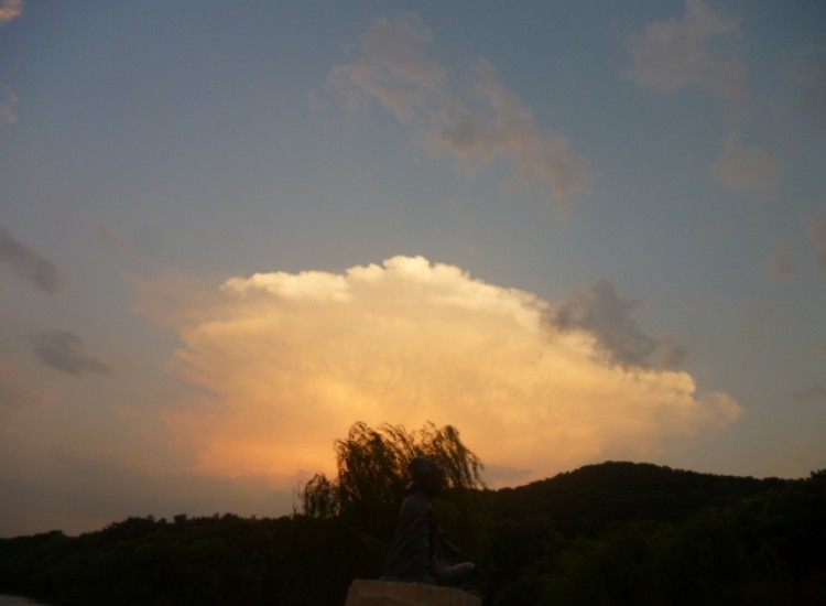 conew_p1060299.jpg