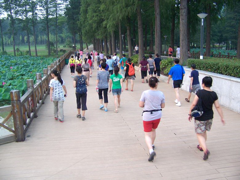 neo_img_100_7564.jpg